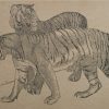 Young Burmese Tigers, from "The Zoo" A Sketch Book by A.W. Peters, published by A. & C. Black, Ltd., Soho Square, London, W. I, British Manufacture